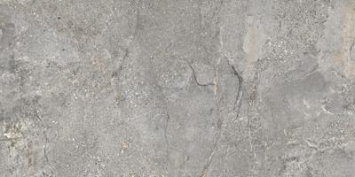 Dateg Milestone Grijs 60*120 Inhoud doos 1,44m2