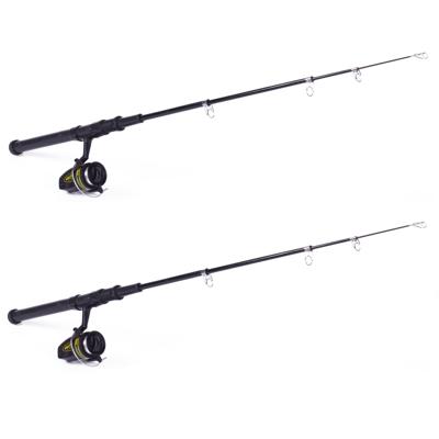 Benson Vishengel set - Set van 2x stuks - 165 cm - telescopische werphengel - met accessoires