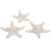 24x stuks decoratie zeesterren - naturel wit - 5-7 cm