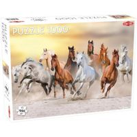 Puzzel Animals: Wild Horses Puzzel - thumbnail