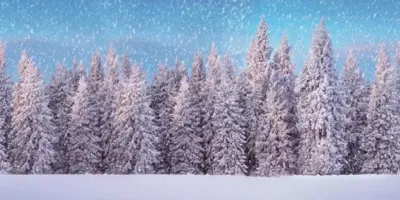 My Village Achtergrond doek sneeuwbos 150x75 cm
