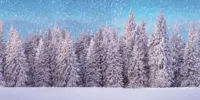 My Village Achtergrond doek sneeuwbos 150x75 cm