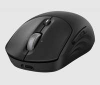 HP 705 Rechargeable Wireless Mouse EMEA muis