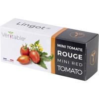 Veritable Indoor Garten navulpak Lingot Rote Mini Tomaten 128 mm 1 stuk(s)