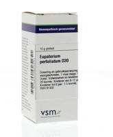 VSM Eupatorium perfoliatum D30 (10 gr) - thumbnail