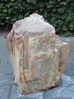 Versteend hout MA-23, 43 cm - thumbnail