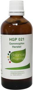 HGP021 Gemmoplex herstel