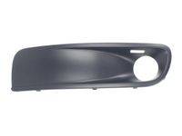 Ventilatiegrille, bumper 6502079568925P