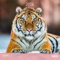 Tijger Kalender 2026