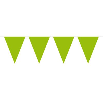 Vlaggenlijn met Feestvlaggetjes in XL formaat - groen - 10 meter - plastic - versiering