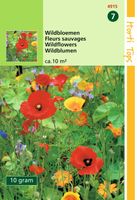 Zaden Wildbloemenmengsel 10 Gram Hortitops - Hortitops