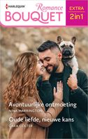 Avontuurlijke ontmoeting / Oude liefde, nieuwe kans - Nina Harrington, Cara Colter - ebook