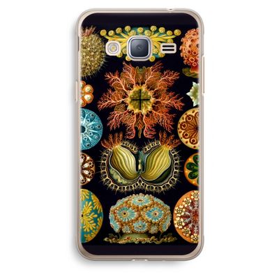 Haeckel Ascidiae: Samsung Galaxy J3 (2016) Transparant Hoesje