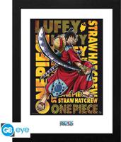 One Piece Framed Print - Luffy in Wano (30x40cm) One Piece Framed Print - Luffy in Wano (30x40cm)