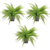 Kunstplant - 3x - varen - groen - 33 cm - kunst kamerplant