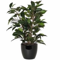 Mica Decorations Ficus kunstplant - groen - 40 cm - met plantenpot - zwart - D13.5 en H12.5 cm