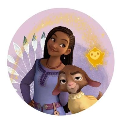 Disney Wish sierkussen 35 x 35 cm