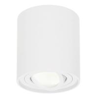 Ronde LED Opbouwspot Ray - 5 Watt 400 lumen - 4000K neutraal wit - Kantelbaar - GU10 - Opbouwspot - IP20 Voor binnen - Wit - Dimbaar