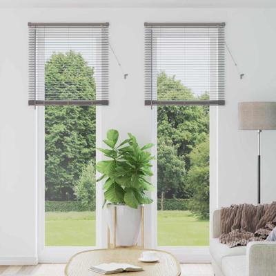 Raam Blind met gordijnen Anders Zilver 80 x 220 cm Aluminium