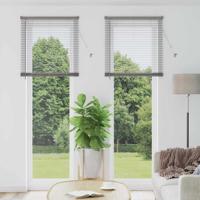 Raam Blind met gordijnen Anders Zilver 80 x 220 cm Aluminium