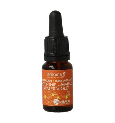 Water violet bio