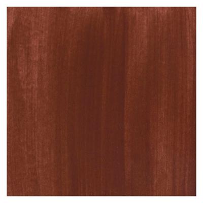 Bruynzeel Ecola plakkaatverf fles 16ml brown 400