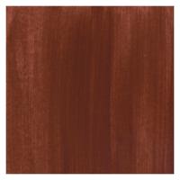Bruynzeel Ecola plakkaatverf fles 16ml brown 400
