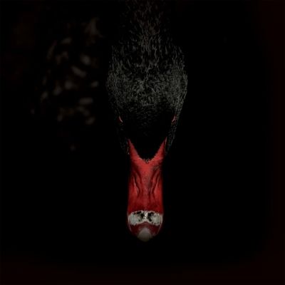 Mannerfreundschaften Und Metaphysik - CD (4024572987589) Mannerfreundschaften Und Metaphysik - CD (4024572987589)