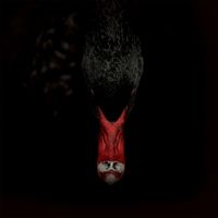 Mannerfreundschaften Und Metaphysik - CD (4024572987589) - thumbnail