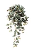 Tradescantia 40 cm in hanging pot kunstbloem zijde nepbloem - Emerald