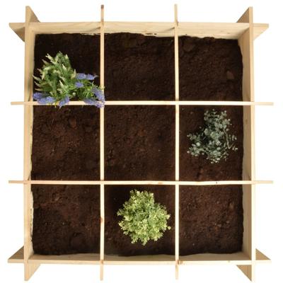 Vierkante Meter Moestuinbak ? 100 x 100 x 20 cm ? Vurenhout ? 9 vakken ? Incl. worteldoek