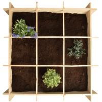 Vierkante Meter Moestuinbak - 100 x 100 x 20 cm - Vurenhout - 9 vakken - Incl. worteldoek Vierkante Meter Moestuinbak - 100 x 100 x 20 cm - Vurenhout - 9 vakken - Incl. worteldoek