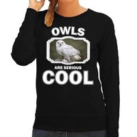 Dieren sneeuwuil sweater zwart dames - owls are cool trui 2XL  -