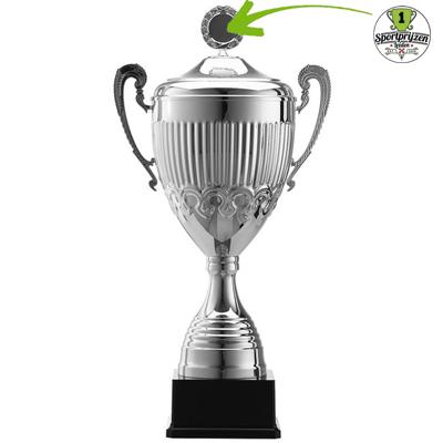 Sportprijzen Leiden Eigen ontwerp Afslag