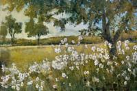Kunstdruk Patrick - Summer Bloom 91x61cm