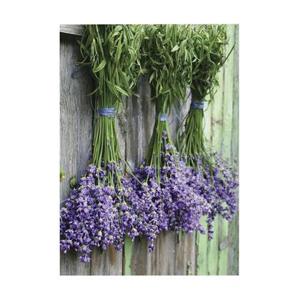 Art for the Home Lavendel - Buitencanvas - 70x50 cm