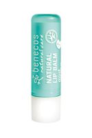 Lipbalm mint vegan