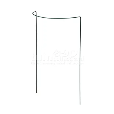 Nature Plantensteun Halfrond Groen 60cm