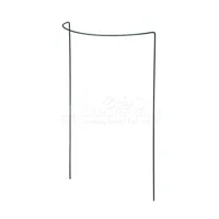 Nature Plantensteun Halfrond Groen 60cm