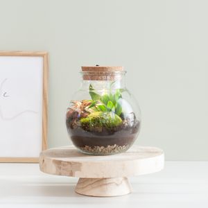 Terrarium Visby