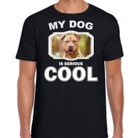 Staffordshire bull terrier honden t-shirt my dog is serious cool zwart voor heren Staffordshire bull terrier honden t-shirt my dog is serious cool zwart voor heren