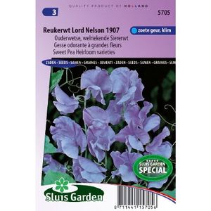 Lathyrus Odoratus zaden Lord Nelson 1907 reukerwt