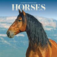 Paarden Mini Kalender 2026