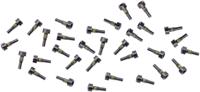 TRUVATIV Spare pins f. pedals 32pcs.