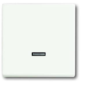 Busch-Jaeger 6543-884-101 Ingangsmodule Zonder opdruk Wit, Verkeerswit 1 stuk(s)
