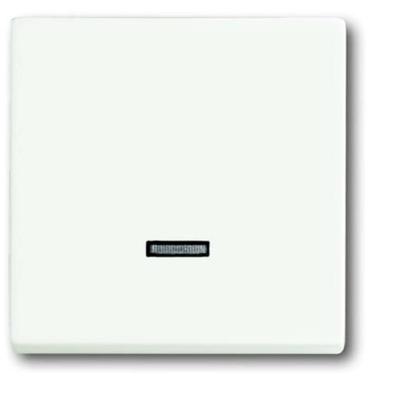Busch-Jaeger 6543-884-101 Ingangsmodule Zonder opdruk Wit, Verkeerswit 1 stuk(s)