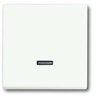 Busch-Jaeger 6543-884-101 Ingangsmodule Zonder opdruk Wit, Verkeerswit 1 stuk(s)