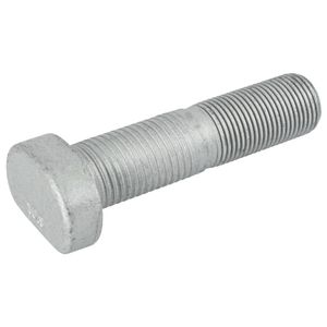 Wielbout 107745