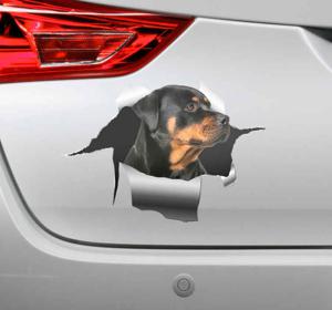 Rottweiler autosticker