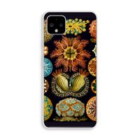 Haeckel Ascidiae: Pixel 4 XL Transparant Hoesje